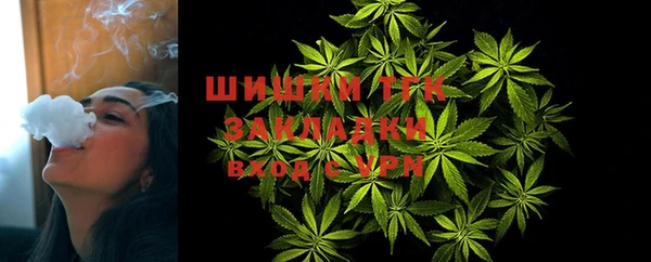гашик Богородицк