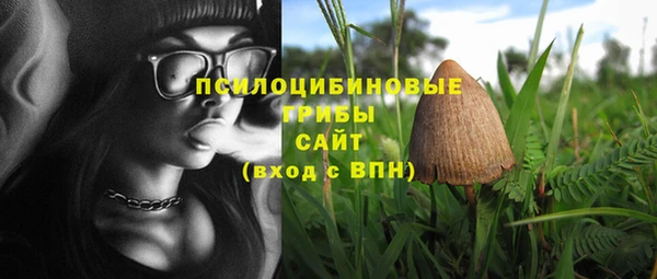 гашик Богородицк