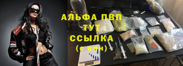 прущие крисы Богданович