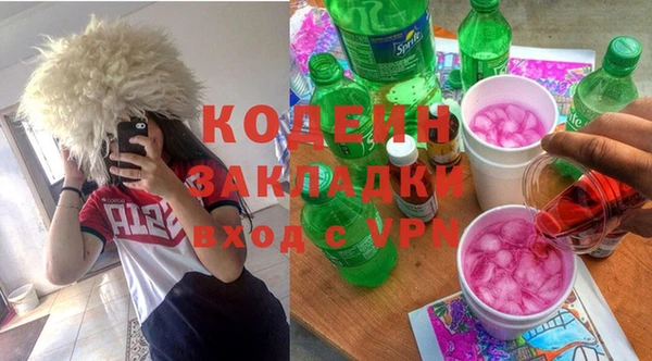 сатива Бородино