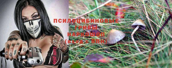 экстази Богородск