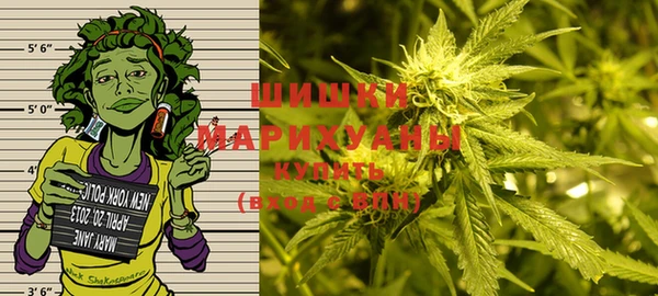 прущие крисы Богданович