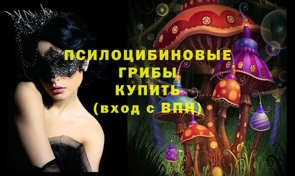 гашик Богородицк