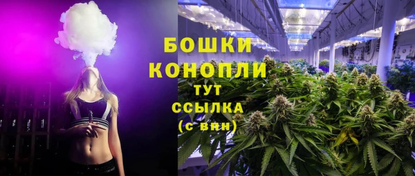гашик Богородицк