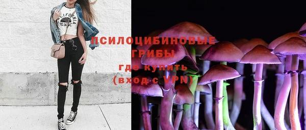 гашик Богородицк