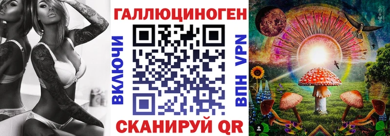 цена   Дудинка  Псилоцибиновые грибы Cubensis 